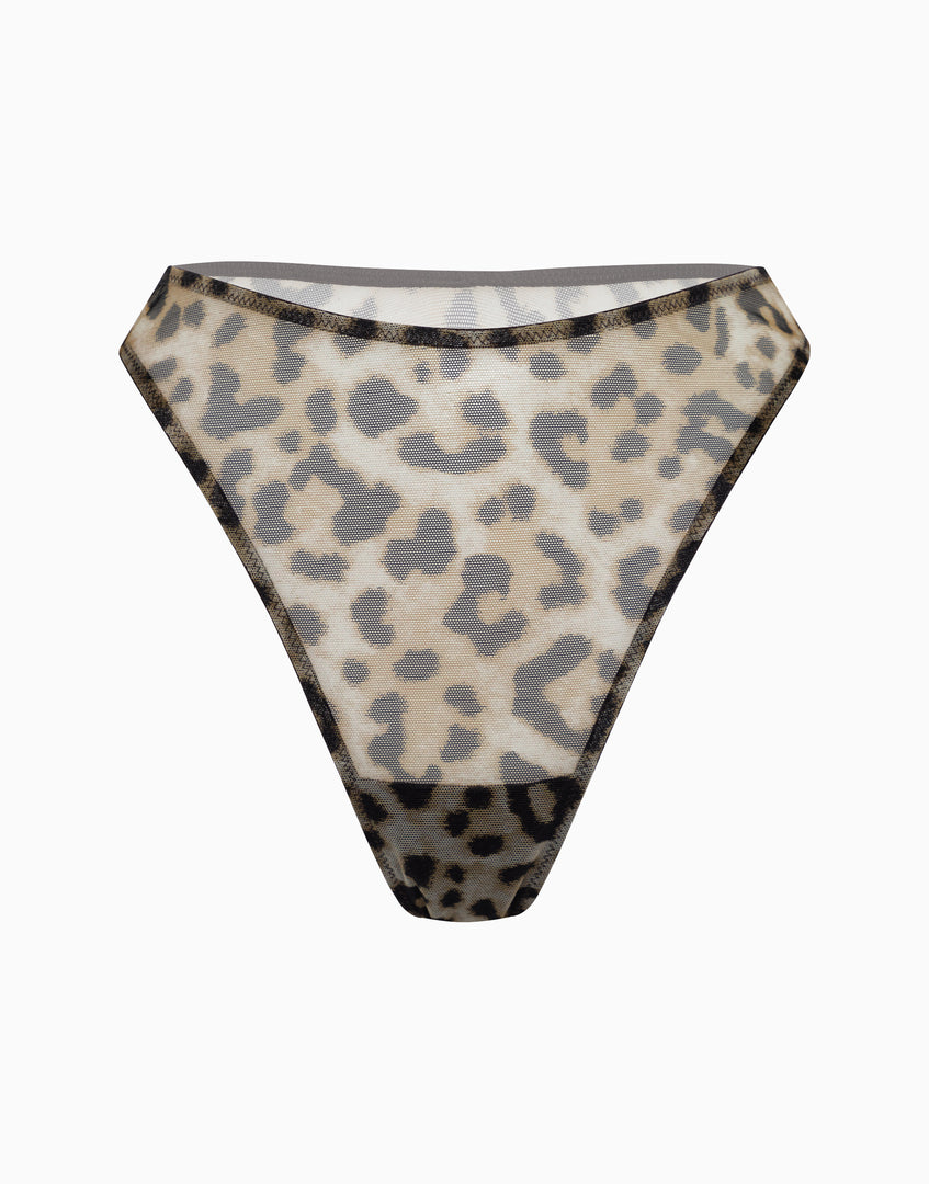 https://onwavecloud.it/incantoitaly/foto/pic_cd31941_869_leopard_3_feed_photo.jpg