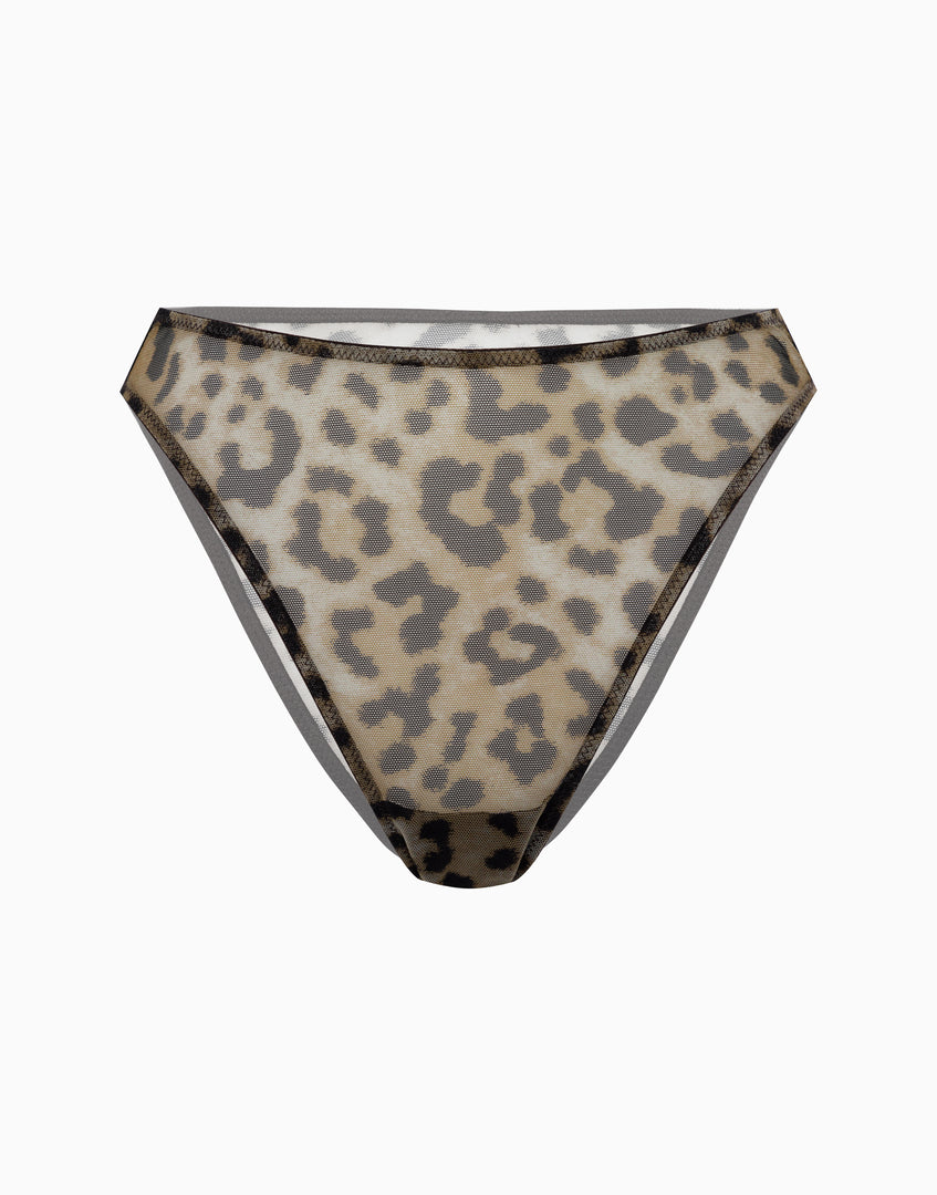 https://onwavecloud.it/incantoitaly/foto/pic_cd32059_869_leopard_4_feed_photo.jpg