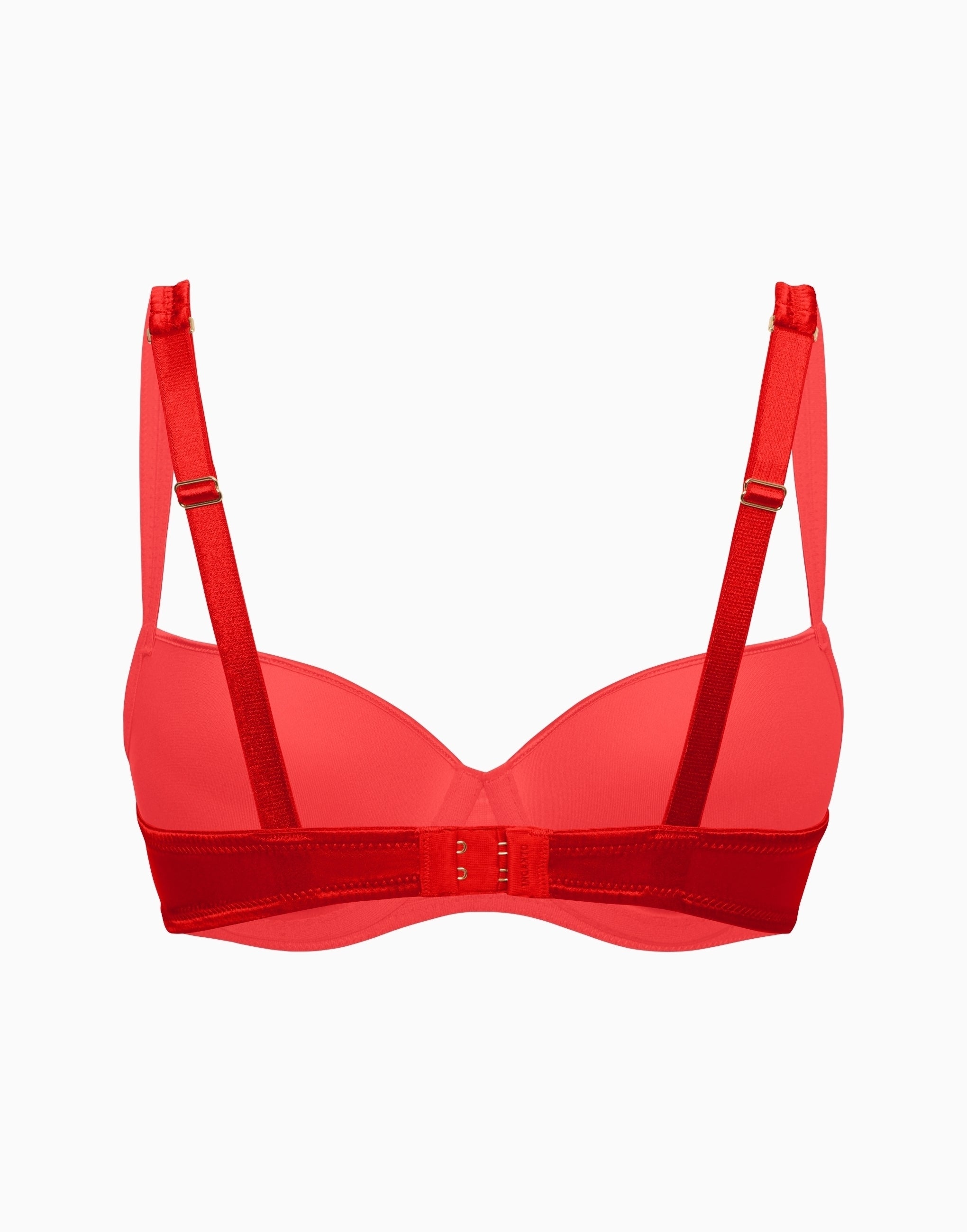 Push-Up Bra with preformed silk cups CD377