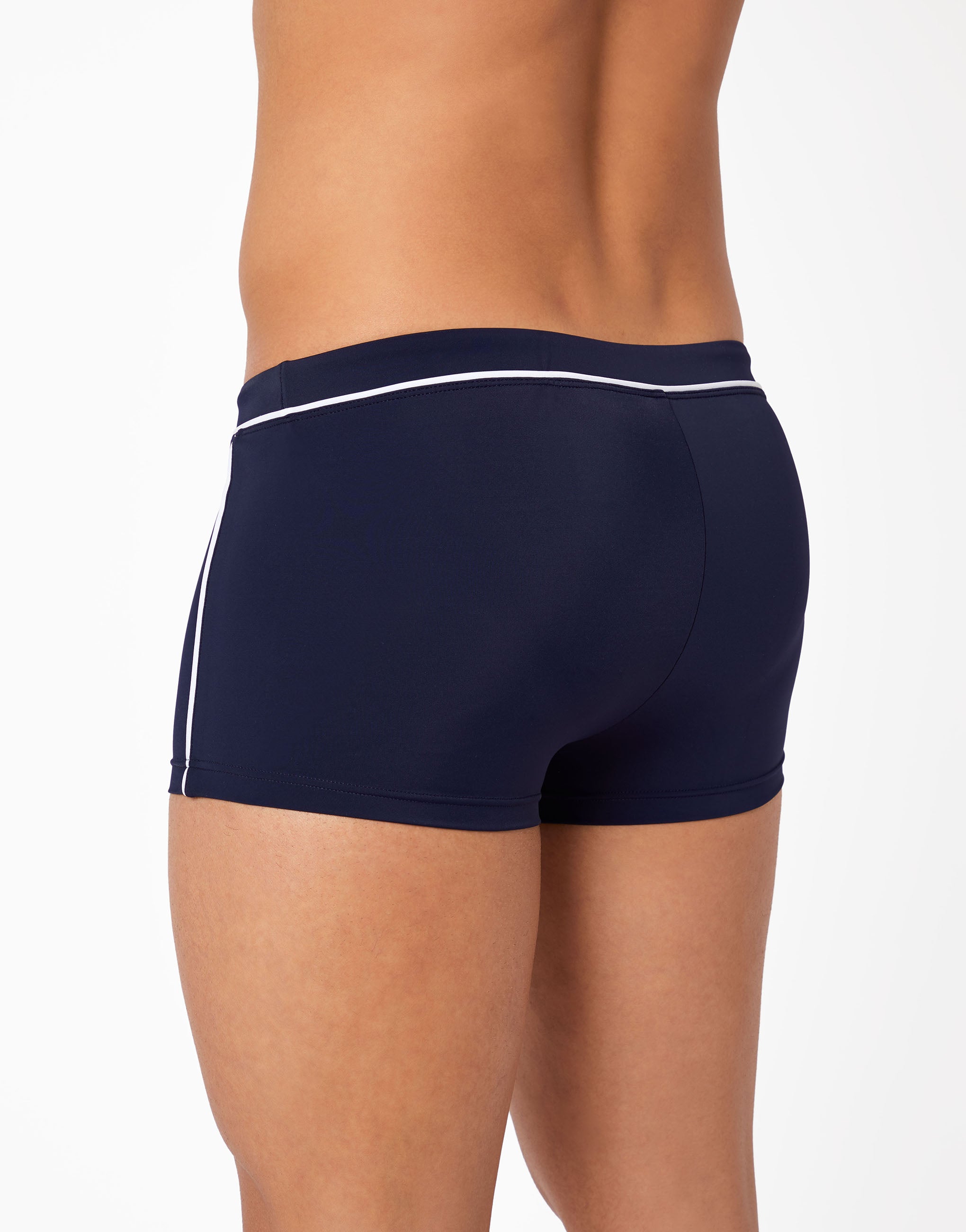 Großer Boxer aus Laguna