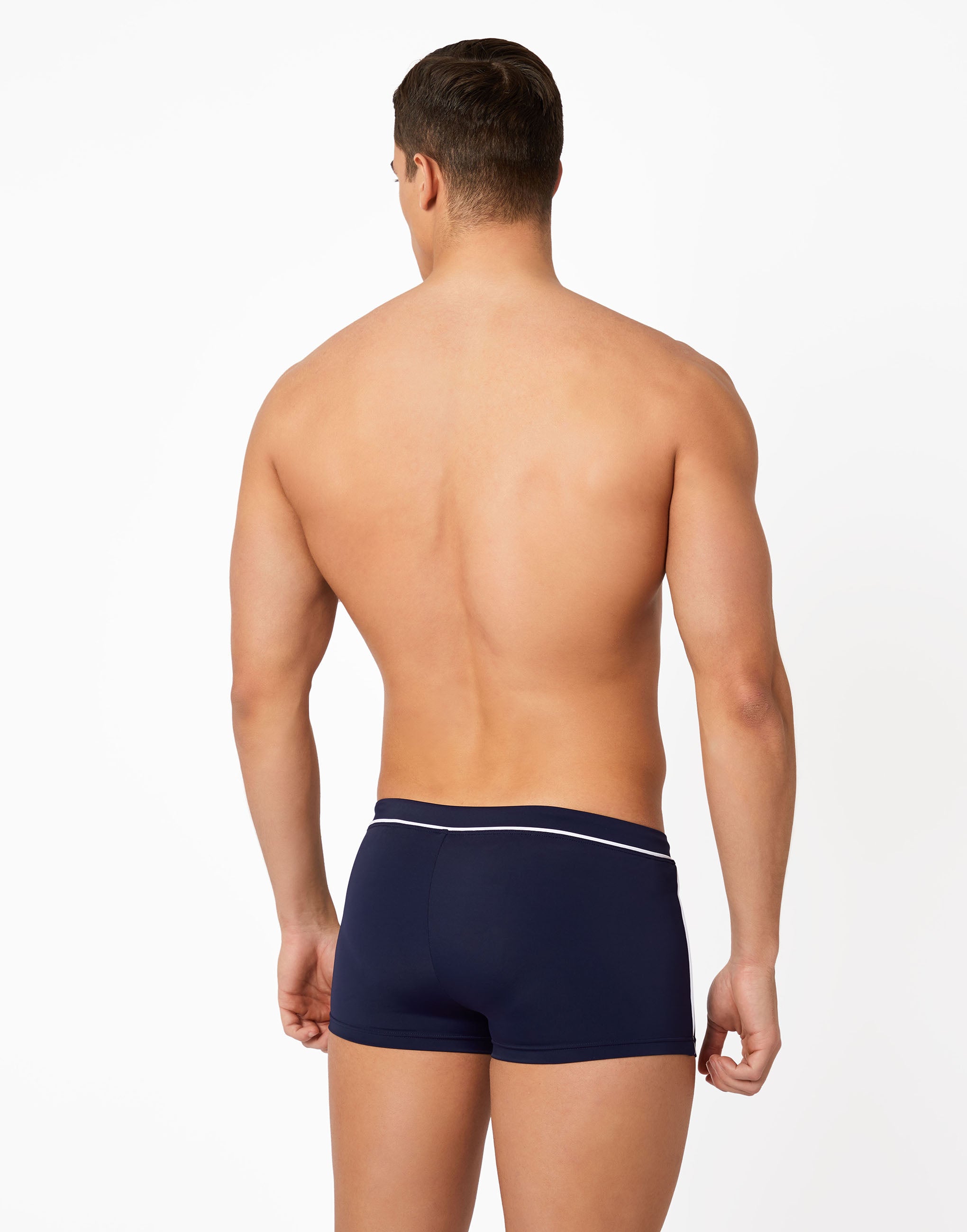 Großer Boxer aus Laguna